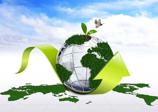 如何提高环境评价的准确性和可靠性?