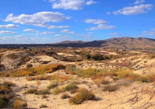 造成草场退化的原因是什么?