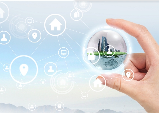 风险评估在环境评价中的作用是什么?