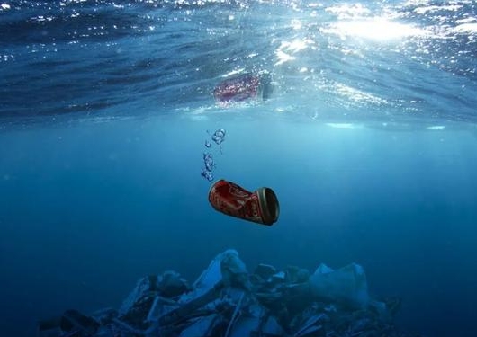 环境污染给我们的生活带来哪些危害?